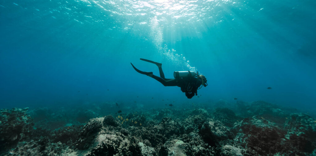 Taucher im Meer